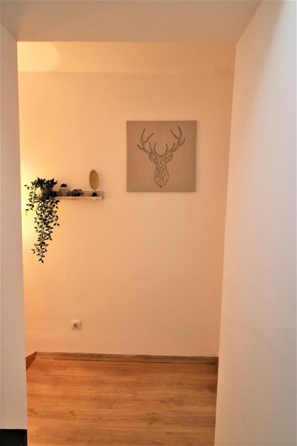 Cozy Old Town Apartment - Free Minibar بوخارست المظهر الخارجي الصورة
