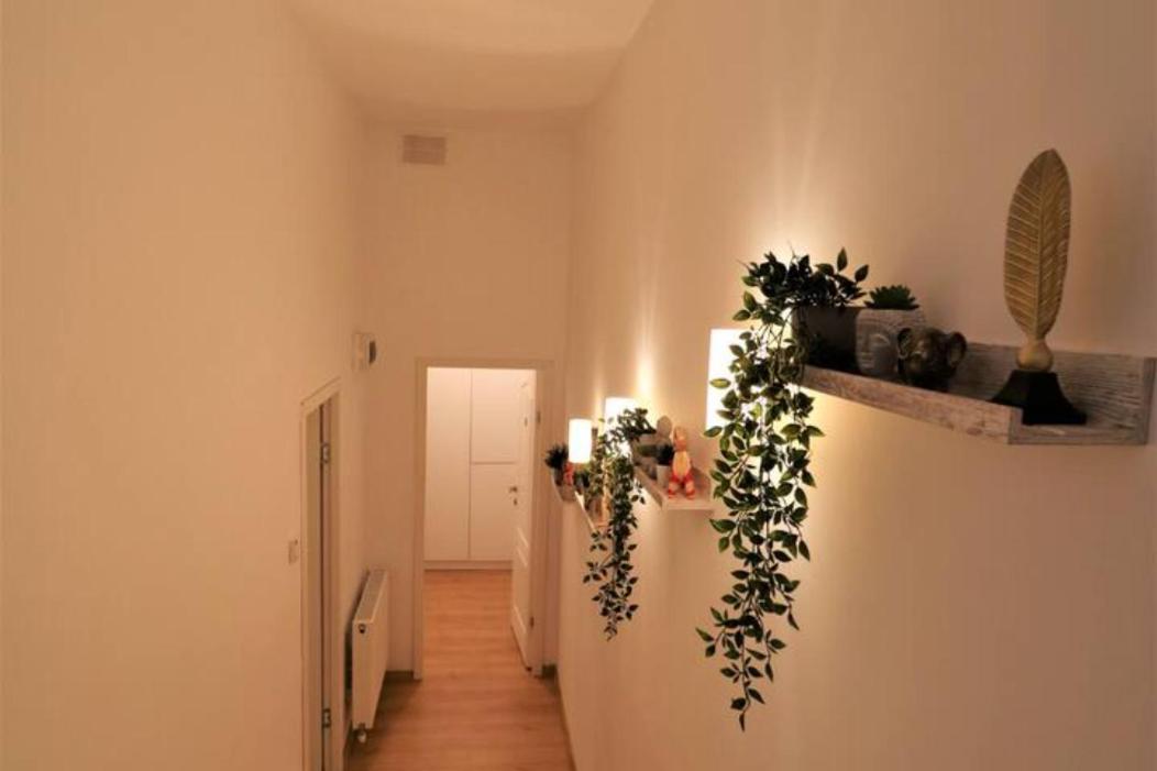 Cozy Old Town Apartment - Free Minibar بوخارست المظهر الخارجي الصورة